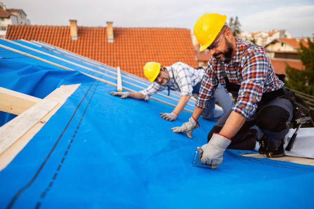 Best Metal Roofing Contractor  in Huntley, IL