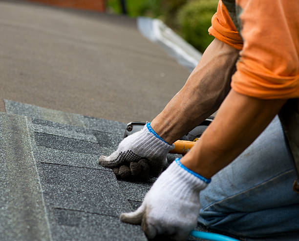 Best Roof Maintenance Services  in Huntley, IL