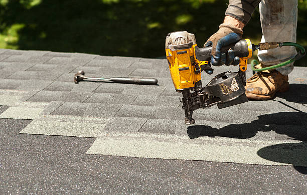Best Roof Gutter Cleaning  in Huntley, IL