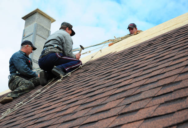 Best Flat Roof Repair Services  in Huntley, IL